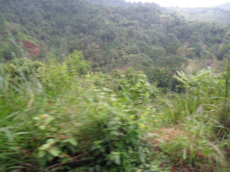 ../Images/Zip Line View.jpg
